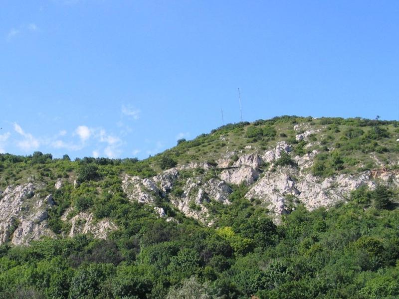 Ida Panzió * Budapest